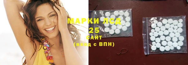 соль ск Ладушкин