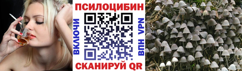 Галлюциногенные грибы Cubensis мориарти как зайти Партизанск даркнет сайт